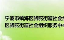 宁波市镇海区骆驼街道社会组织服务中心（关于宁波市镇海区骆驼街道社会组织服务中心介绍）
