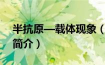 半抗原—载体现象（关于半抗原—载体现象简介）
