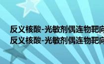 反义核酸-光敏剂偶连物靶向治疗卵巢癌的实验研究（关于反义核酸-光敏剂偶连物靶向治疗卵巢癌的实验研究介绍）