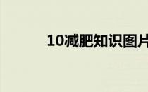 10减肥知识图片带你了解脂肪！