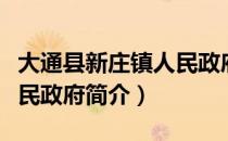 大通县新庄镇人民政府（关于大通县新庄镇人民政府简介）