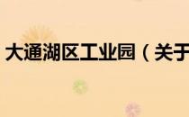 大通湖区工业园（关于大通湖区工业园简介）