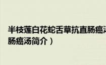 半枝莲白花蛇舌草抗直肠癌汤（关于半枝莲白花蛇舌草抗直肠癌汤简介）