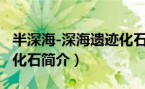 半深海-深海遗迹化石（关于半深海-深海遗迹化石简介）