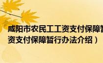 咸阳市农民工工资支付保障暂行办法（关于咸阳市农民工工资支付保障暂行办法介绍）