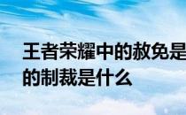 王者荣耀中的赦免是什么——王者射手荣耀的制裁是什么 