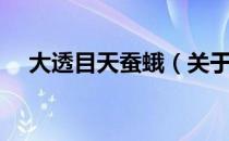 大透目天蚕蛾（关于大透目天蚕蛾简介）