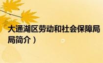 大通湖区劳动和社会保障局（关于大通湖区劳动和社会保障局简介）