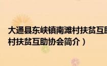 大通县东峡镇南滩村扶贫互助协会（关于大通县东峡镇南滩村扶贫互助协会简介）