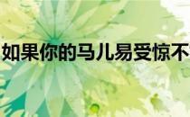如果你的马儿易受惊不妨参考以下的这些建议