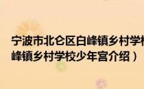 宁波市北仑区白峰镇乡村学校少年宫（关于宁波市北仑区白峰镇乡村学校少年宫介绍）