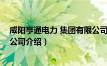 咸阳亨通电力 集团有限公司（关于咸阳亨通电力 集团有限公司介绍）