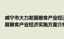 咸宁市大力发展粮食产业经济实施方案（关于咸宁市大力发展粮食产业经济实施方案介绍）