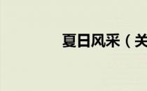 夏日风采（关于夏日风采）