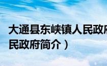大通县东峡镇人民政府（关于大通县东峡镇人民政府简介）