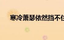 寒冷萧瑟依然挡不住热爱运动者的步伐
