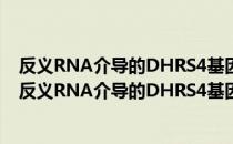 反义RNA介导的DHRS4基因簇表观遗传学调控机制（关于反义RNA介导的DHRS4基因簇表观遗传学调控机制介绍）