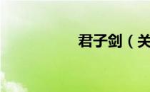 君子剑（关于君子剑）