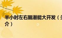 半小时左右脑潜能大开发（关于半小时左右脑潜能大开发简介）