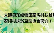 大通县东峡镇田家沟村扶贫互助协会（关于大通县东峡镇田家沟村扶贫互助协会简介）