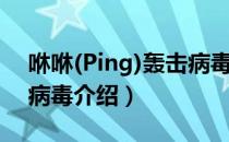 咻咻(Ping)轰击病毒（关于咻咻(Ping)轰击病毒介绍）