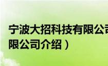 宁波大招科技有限公司（关于宁波大招科技有限公司介绍）