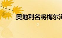 奥地利名将梅尔泽宣布退役又复出