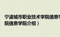 宁波城市职业技术学院信息学院（关于宁波城市职业技术学院信息学院介绍）