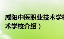 咸阳中医职业技术学校（关于咸阳中医职业技术学校介绍）