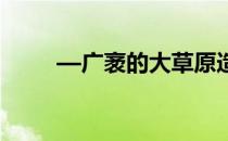 —广袤的大草原造就了野马的天性