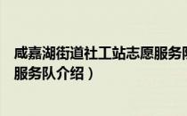 咸嘉湖街道社工站志愿服务队（关于咸嘉湖街道社工站志愿服务队介绍）