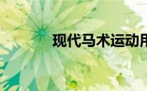 现代马术运动用马丹麦温血马