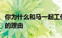 你为什么和马一起工作呢每个人养马都有自己的理由