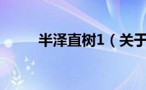 半泽直树1（关于半泽直树1简介）