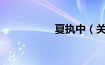 夏执中（关于夏执中）