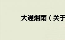 大通烟雨（关于大通烟雨简介）