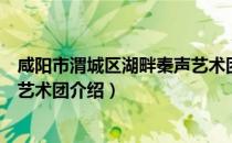 咸阳市渭城区湖畔秦声艺术团（关于咸阳市渭城区湖畔秦声艺术团介绍）