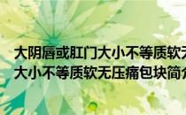 大阴唇或肛门大小不等质软无压痛包块（关于大阴唇或肛门大小不等质软无压痛包块简介）