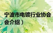 宁波市电镀行业协会（关于宁波市电镀行业协会介绍）
