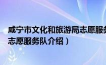 咸宁市文化和旅游局志愿服务队（关于咸宁市文化和旅游局志愿服务队介绍）