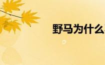 野马为什么不需要钉蹄