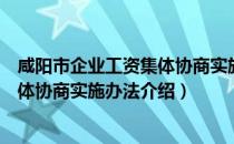 咸阳市企业工资集体协商实施办法（关于咸阳市企业工资集体协商实施办法介绍）