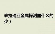 泰拉瑞亚金属探测器什么的（泰拉瑞亚金属探测器范围是多少）