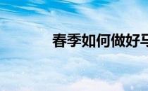 春季如何做好马匹的日常护理
