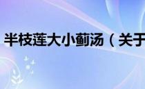 半枝莲大小蓟汤（关于半枝莲大小蓟汤简介）