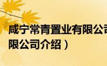 咸宁常青置业有限公司（关于咸宁常青置业有限公司介绍）