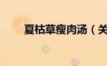 夏枯草瘦肉汤（关于夏枯草瘦肉汤）