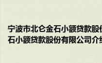 宁波市北仑金石小额贷款股份有限公司（关于宁波市北仑金石小额贷款股份有限公司介绍）