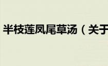 半枝莲凤尾草汤（关于半枝莲凤尾草汤简介）