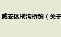 咸安区横沟桥镇（关于咸安区横沟桥镇介绍）